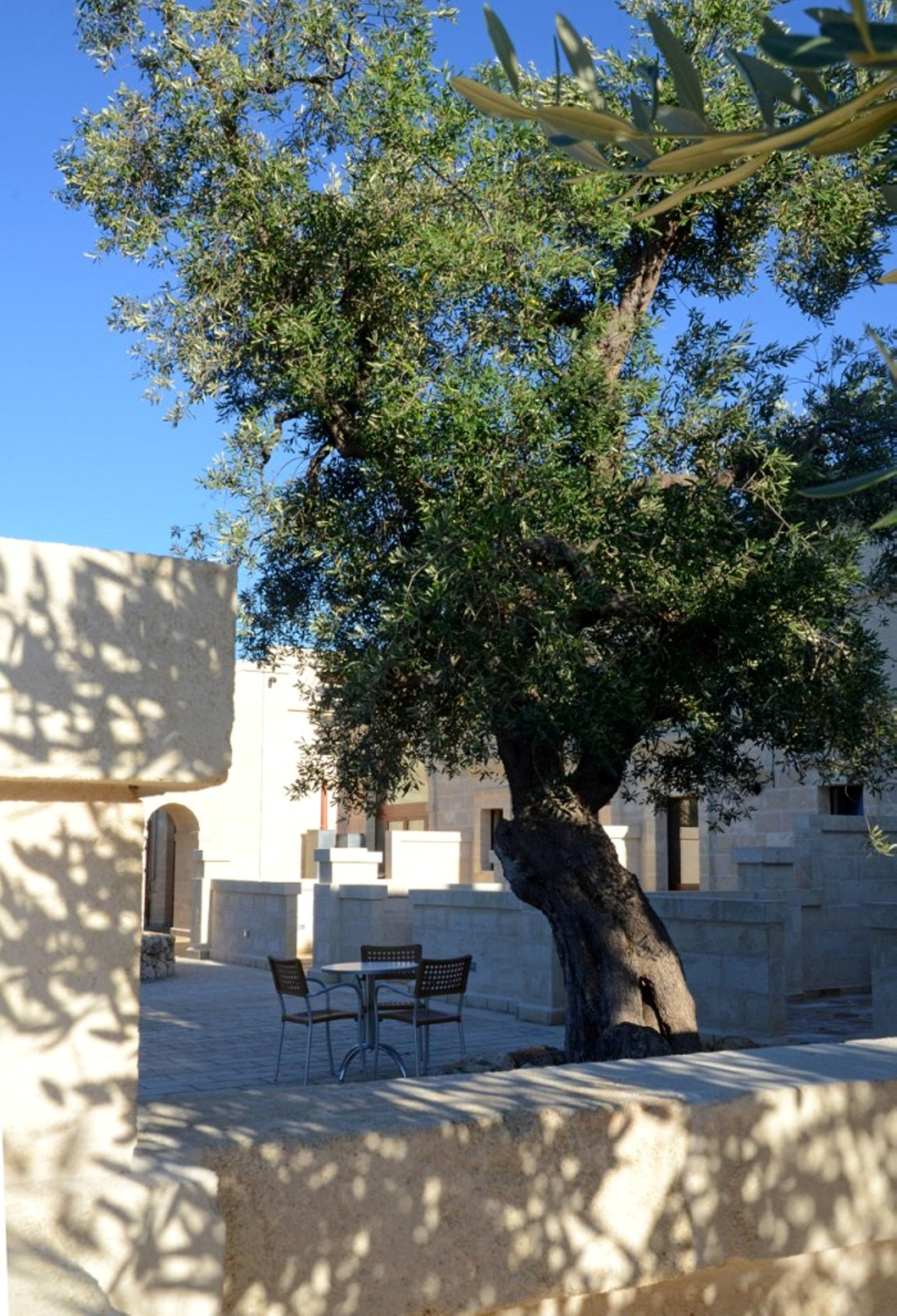 Agriturismo Masseria San Leonardo Savelletri Exterior foto