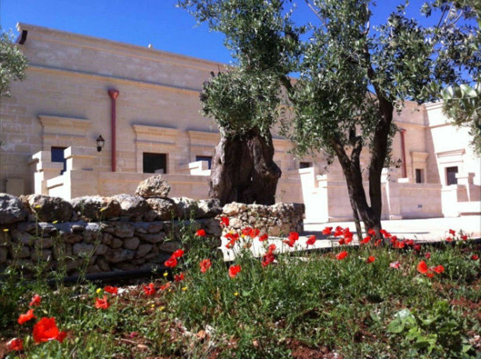 Agriturismo Masseria San Leonardo Savelletri Exterior foto