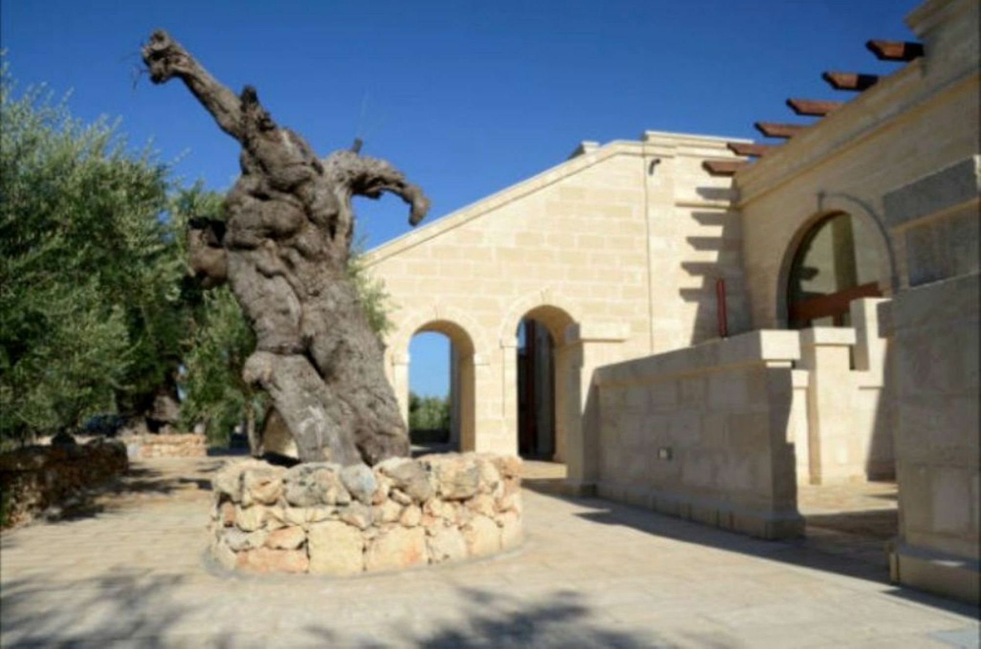 Agriturismo Masseria San Leonardo Savelletri Exterior foto